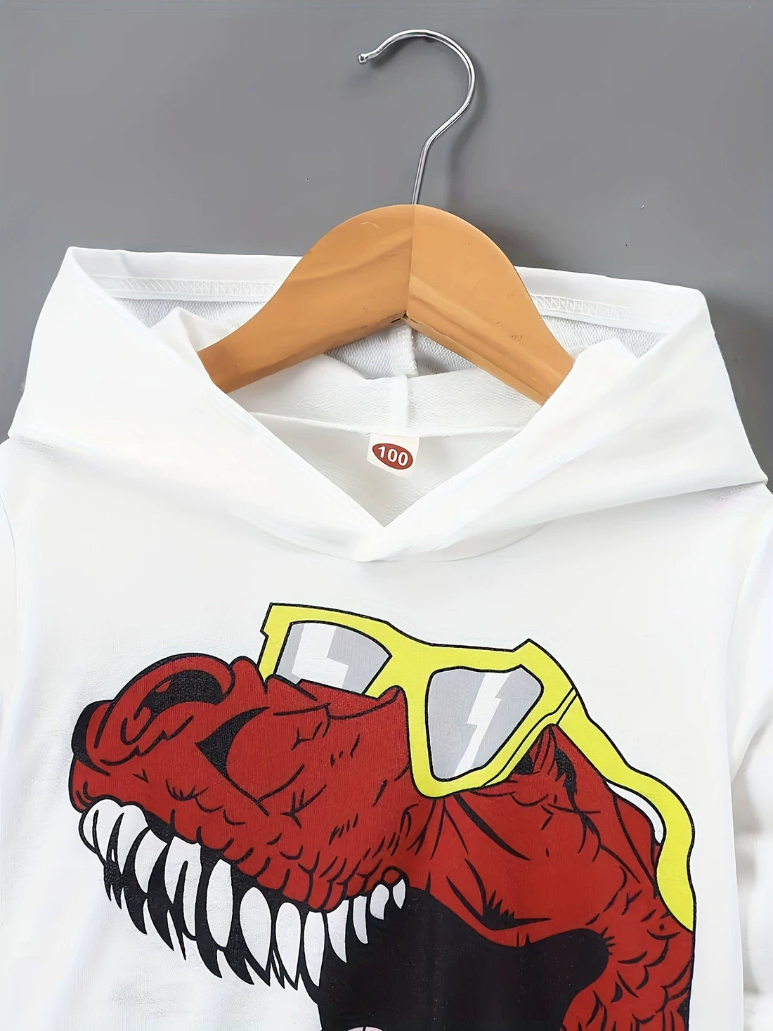 Children's Dinosaur Graphic Hoodie and Pants Set designed for comfort and style at Lookzlike